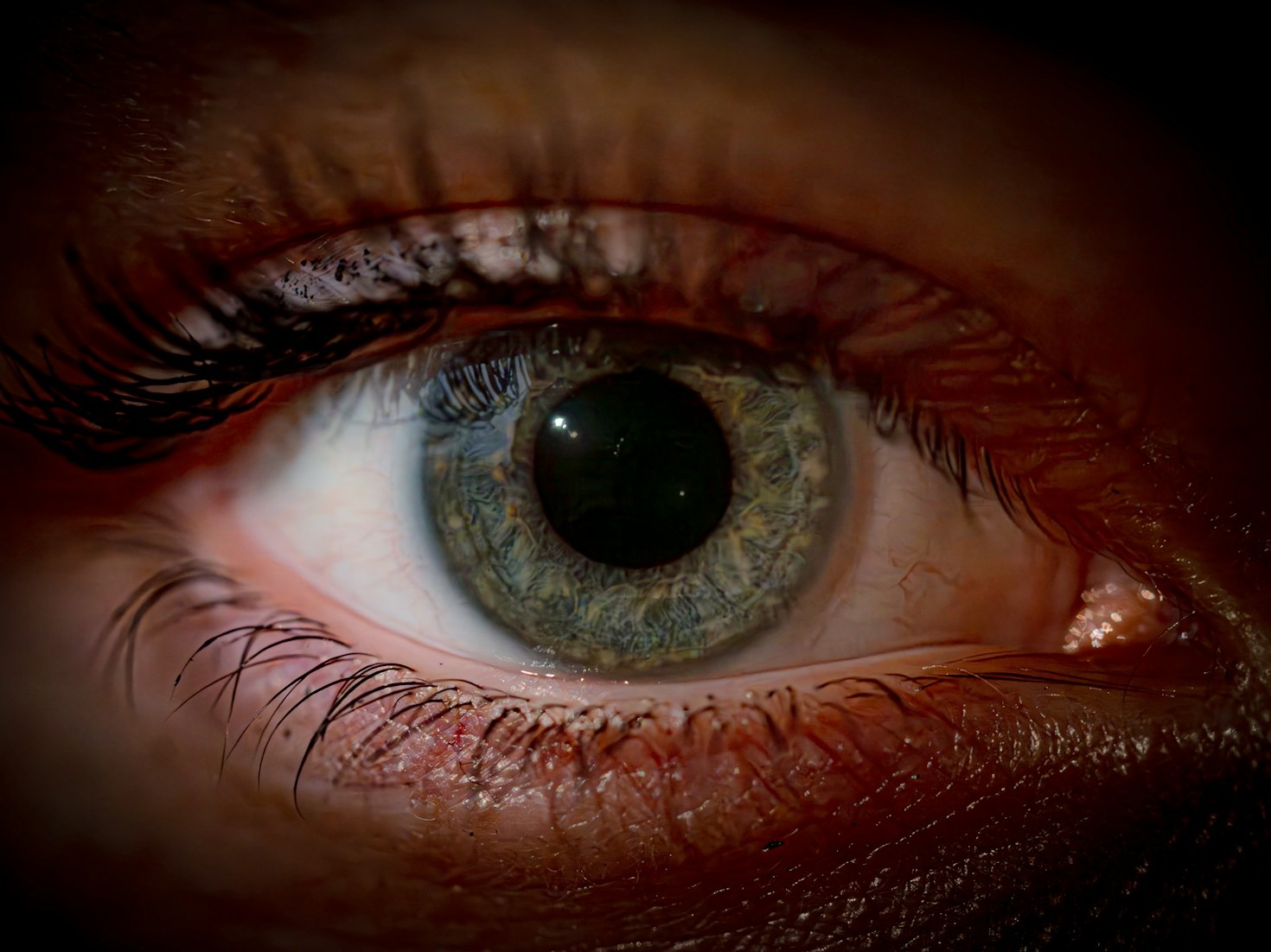 Affordable Courses to Improve Your Vision